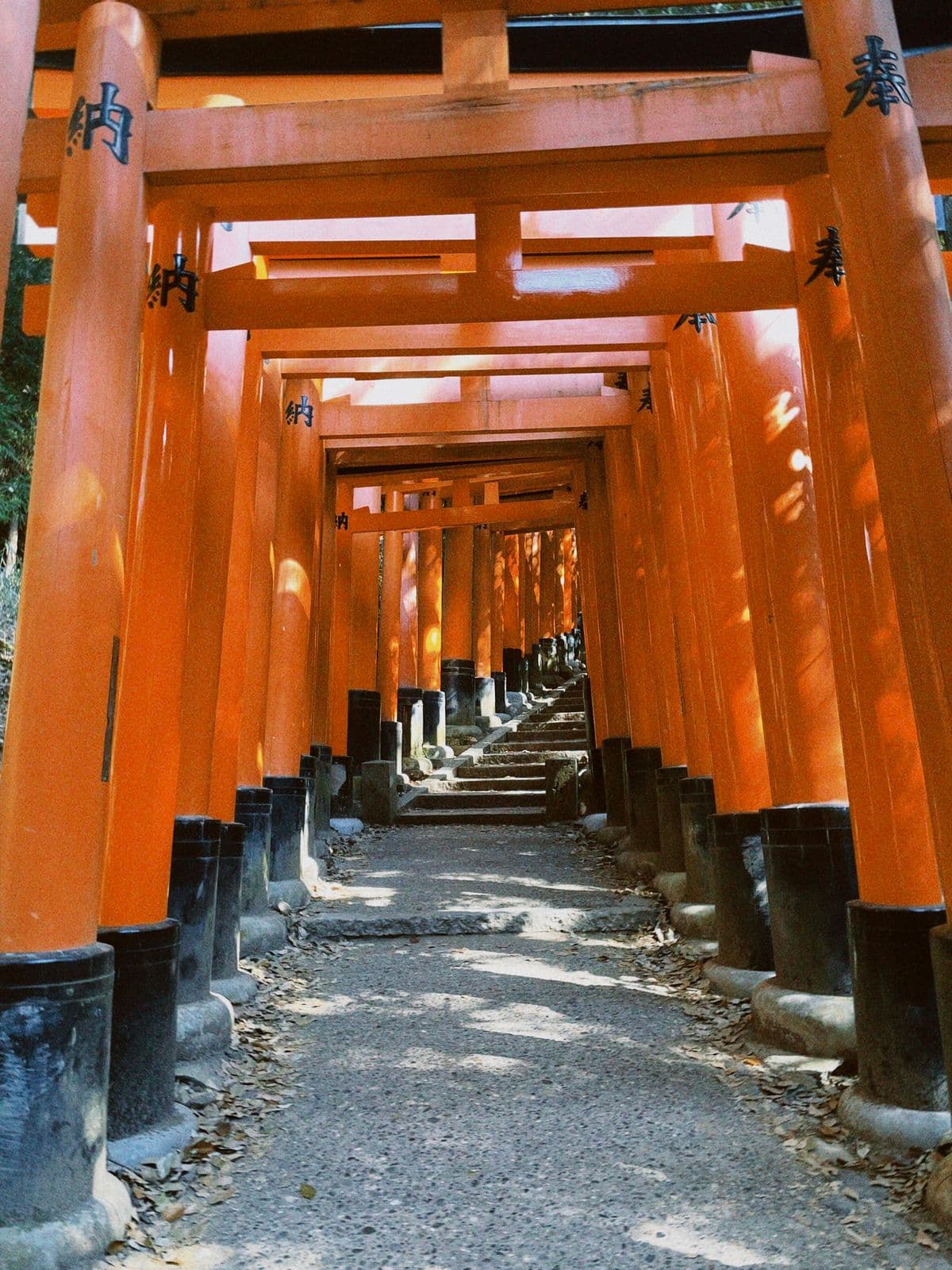 Fushimi Inari