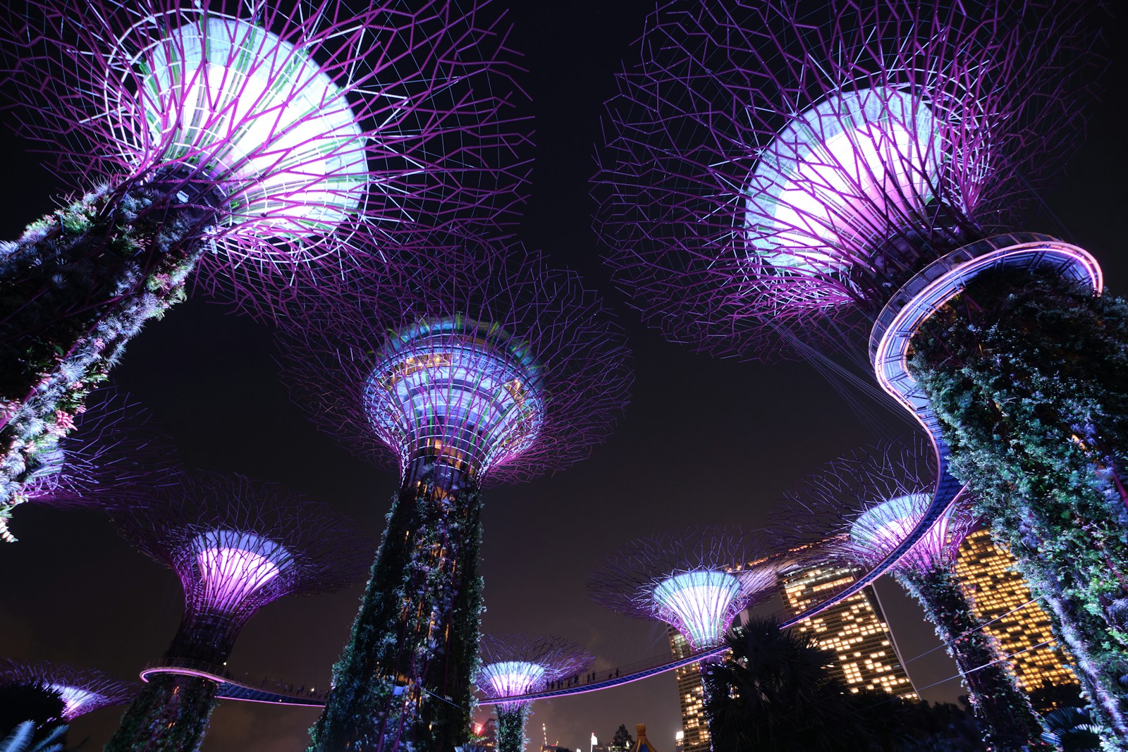 Gardens by the Bay