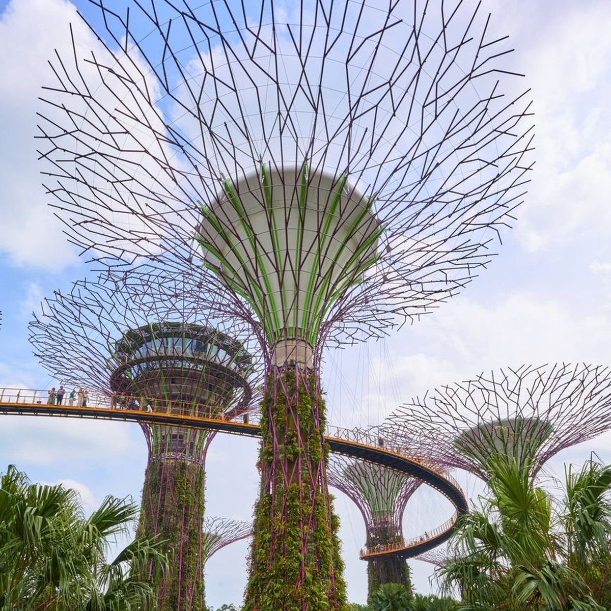 Gardens by the Bay and Universal Studios
