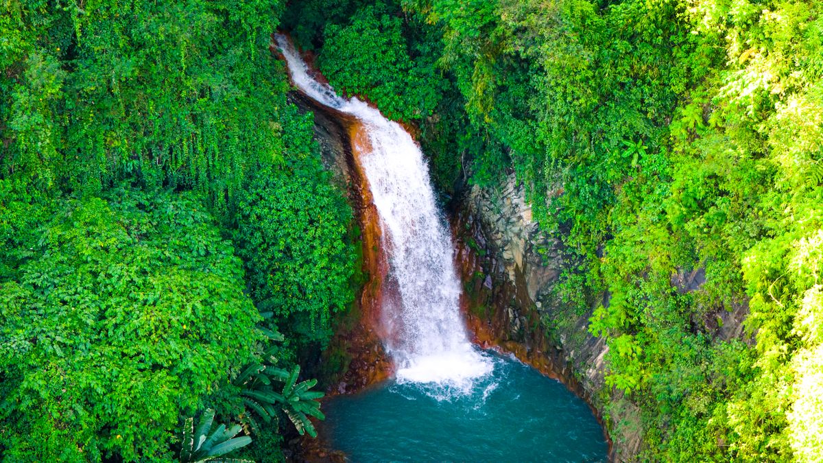 Kawasan canyoneering and the sardine run
